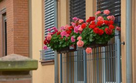 jardin de balcon