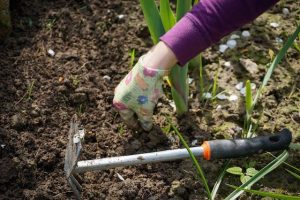 Jardin, éliminer les mauvaises herbes