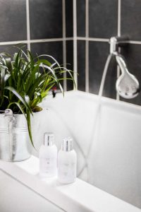 Plante verte salle de bain