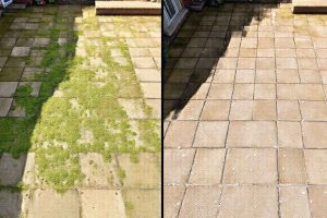 Protéger votre terrasse contre la mousse