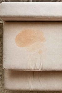 Nettoyage d'un canapé taché shampouineuse