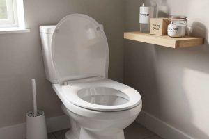 Outils pour nettoyer les toilettes : vinaigre, bicarbonate, acide citrique et brosse WC
