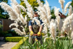 Fauchage régulier, protection adaptée et réintroduction d'espèces locales : découvrez les bonnes méthodes pour contrôler l'herbe de la pampa dans votre jardin
